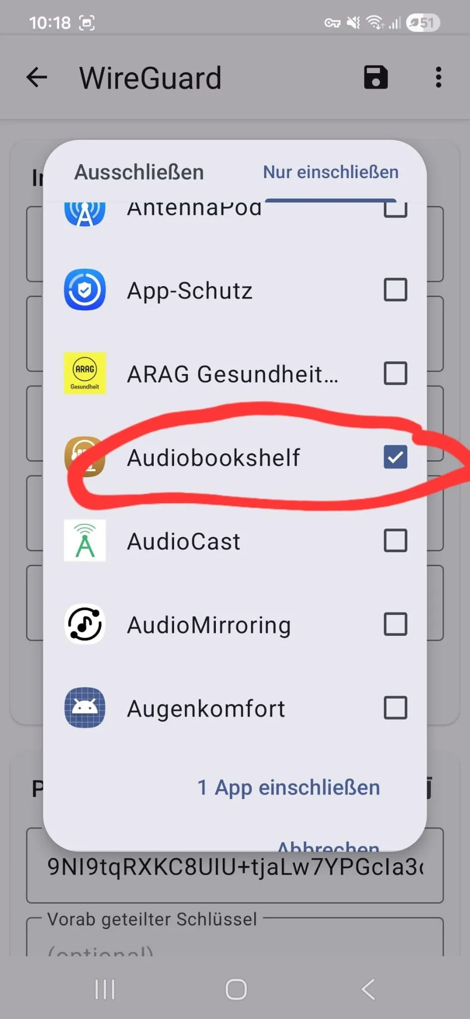 WireGuard-App: nur Audiobookshelf als Anwendung für den Tunnel ausgewählt